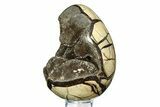 Septarian Dragon Egg Geode - Sparkly Black Crystals #308824-1